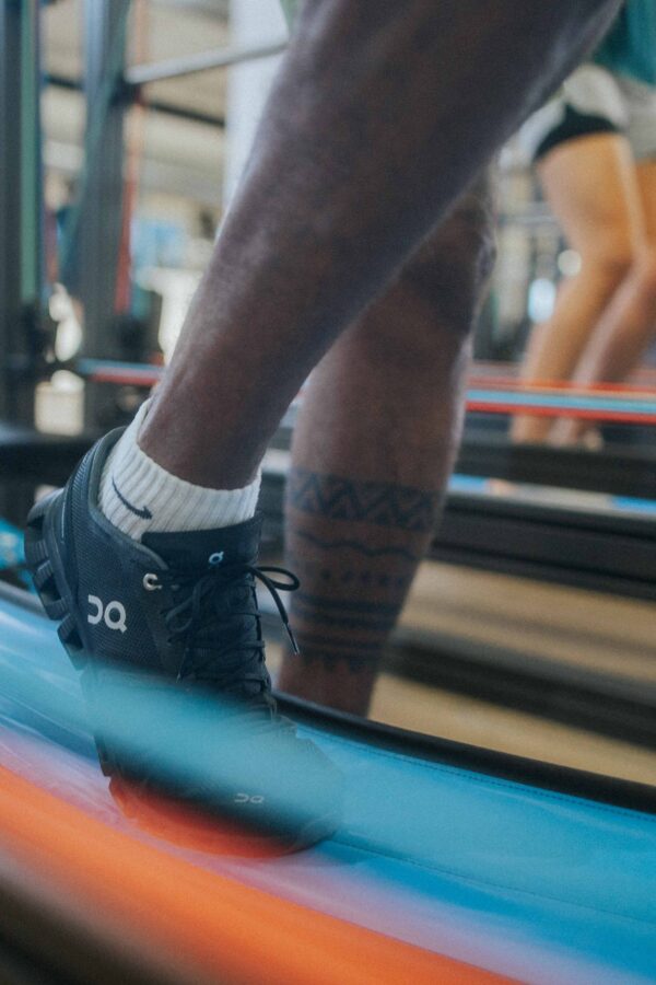 Phoenix and Sensopro web 17