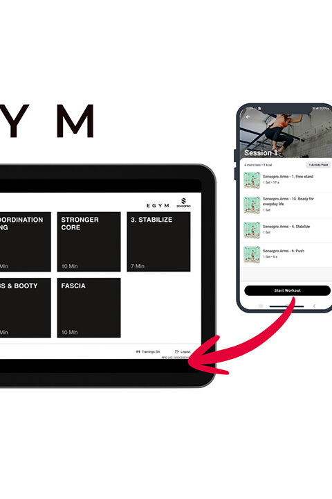 Schnittstelle EGYM