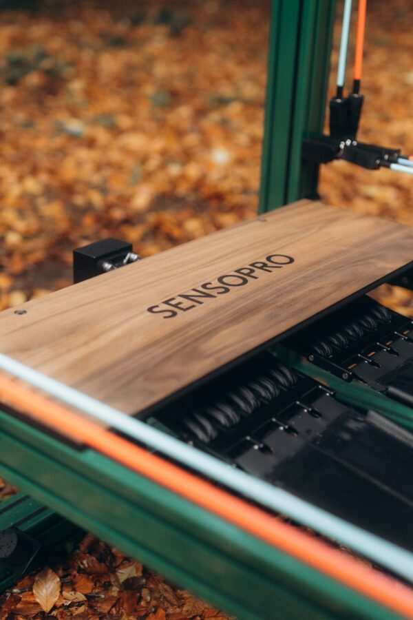 Sensopro Luna Earth Pilates Yoga print 5