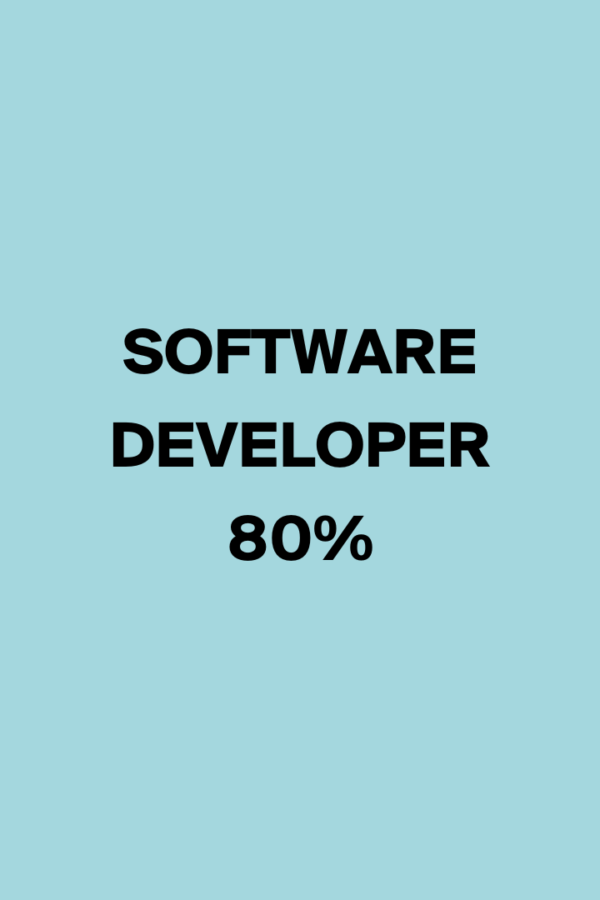 Software developer